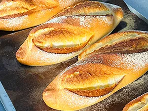 Línea de Producción de Pan de Chapata